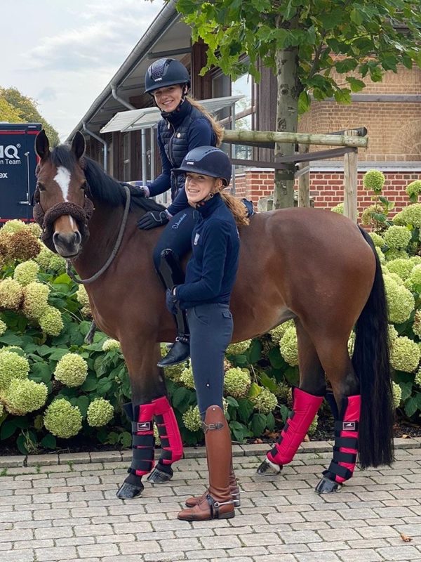 Stallgamaschen XL, hinten *Pink Pony* – Bild 5