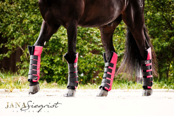 Stallgamaschen XL, hinten *Pink Pony* – Bild 4