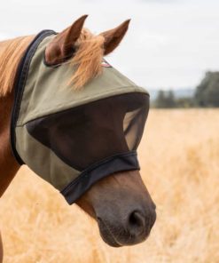 Fliegenmaske therapeutisch