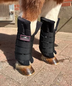 Stable Boots XL, Front - Shetty