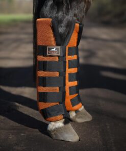 Alternative view of Stable Bandages XL, Rear (Kopie)