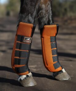 Alternative view of Stable Boots XL, Front (Kopie)