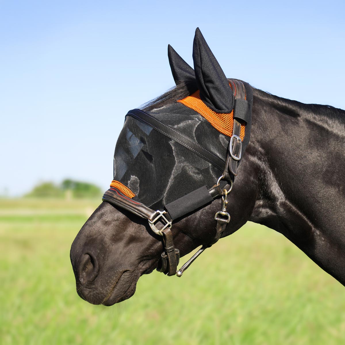 Fliegenmaske 'HalfterFit'
