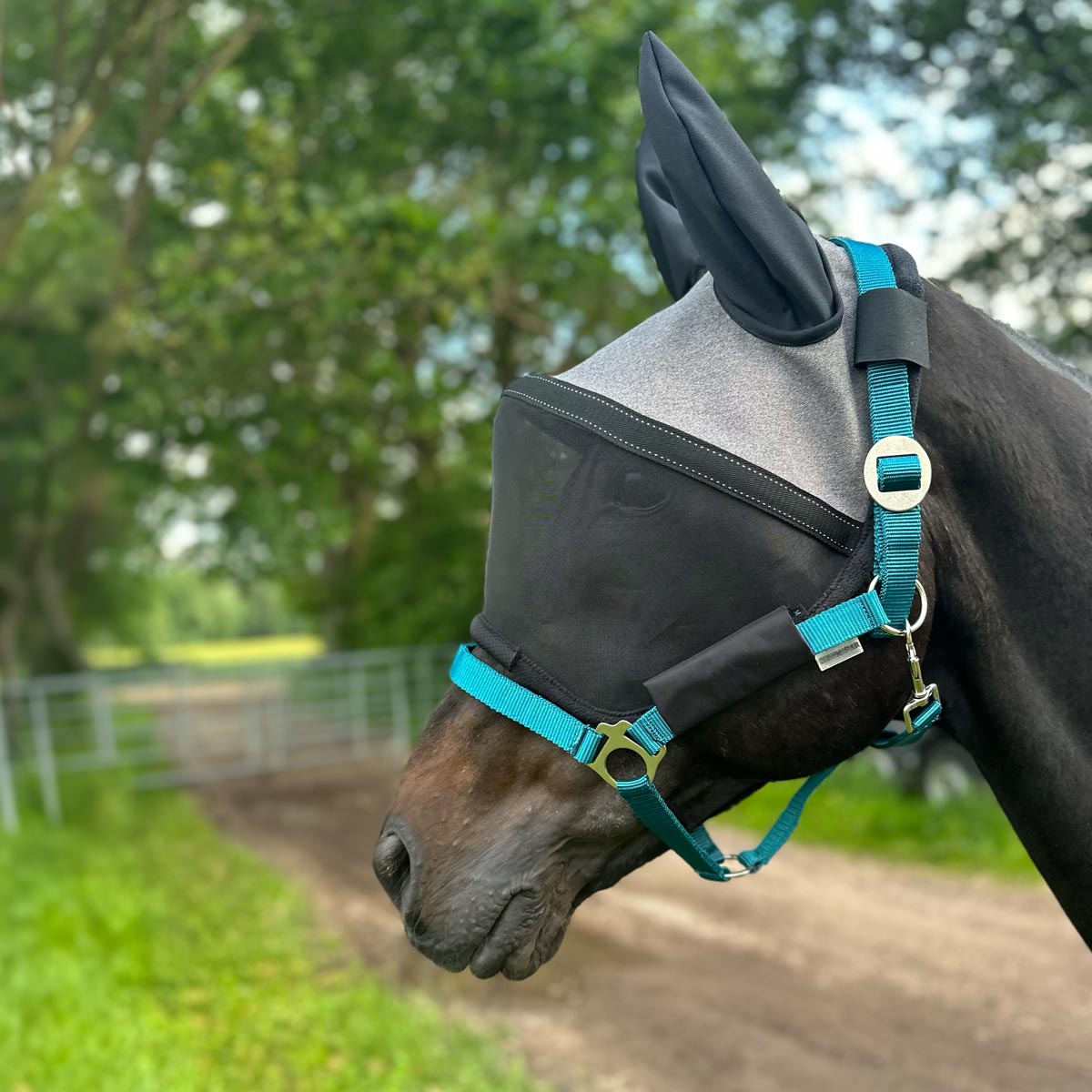 Therapeutische Fliegenmaske 'HalfterFit' – Bild 3